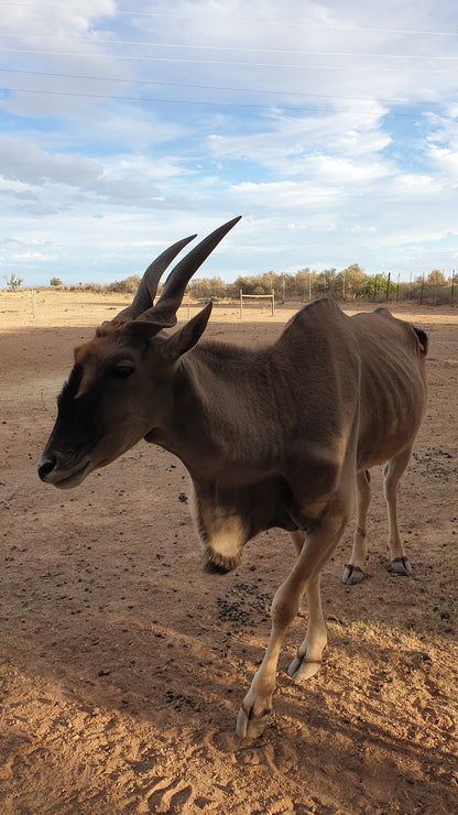  Karoo Gariep Nature Reserve