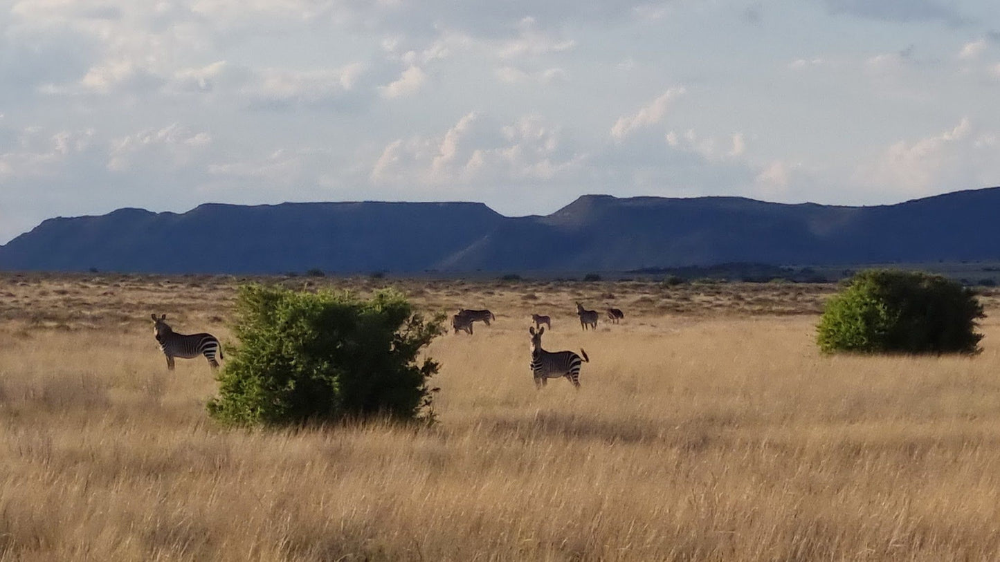  Karoo Gariep Nature Reserve