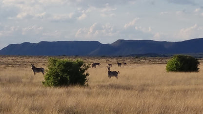  Karoo Gariep Nature Reserve