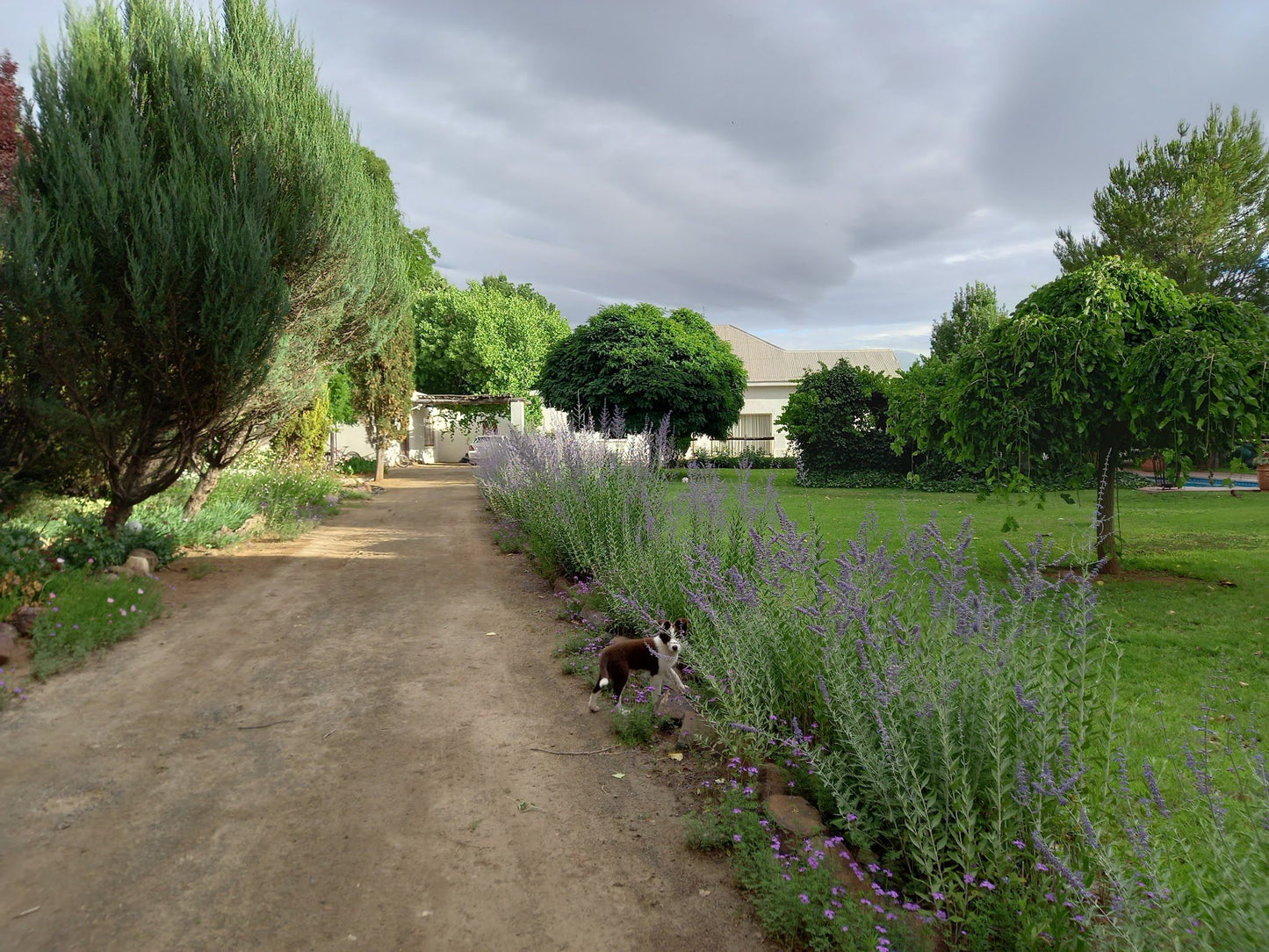  Karoo Gariep Nature Reserve