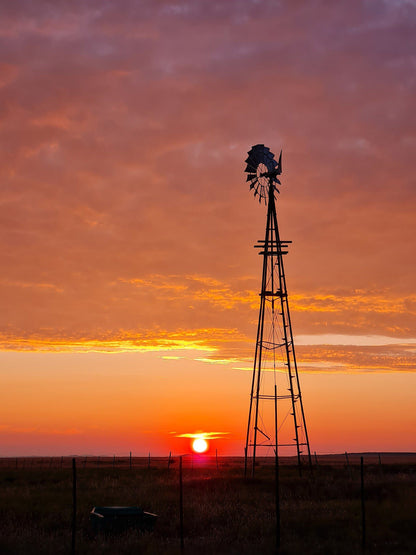  Karoo Gariep Nature Reserve