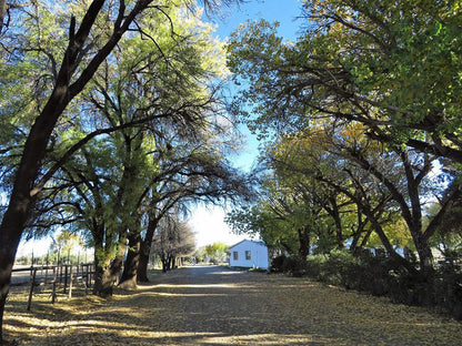  Karoo Gariep Nature Reserve