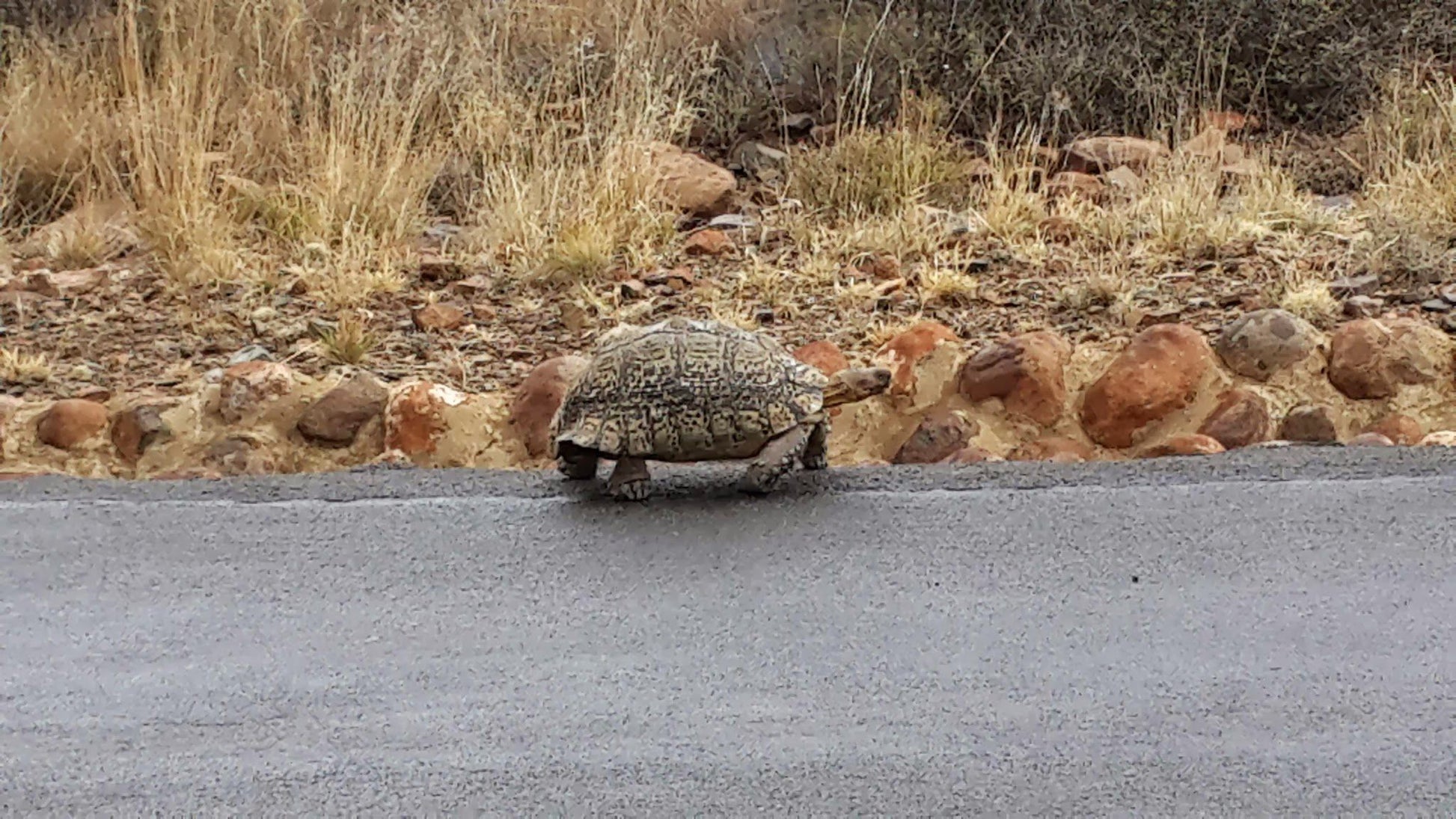  Karoo National Park