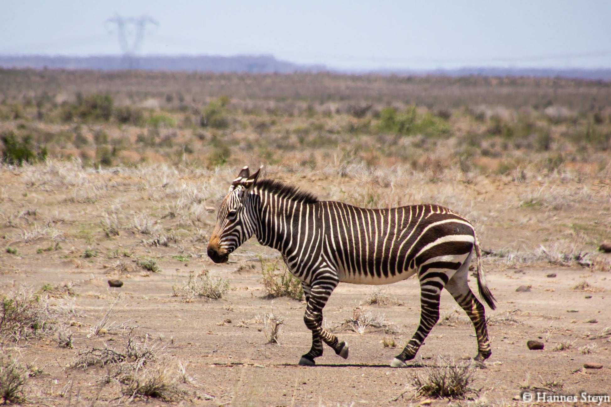  Karoo National Park