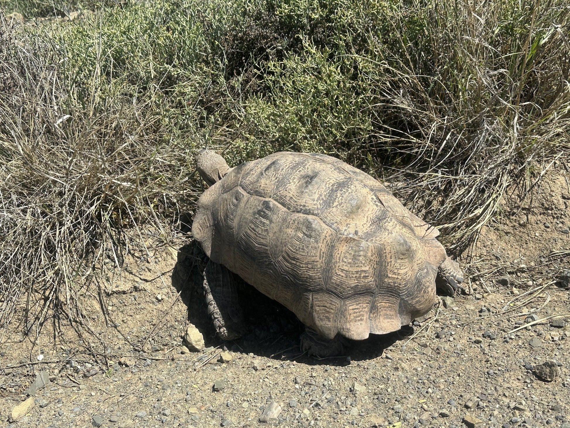  Karoo National Park