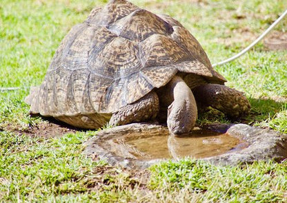  Karoo National Park