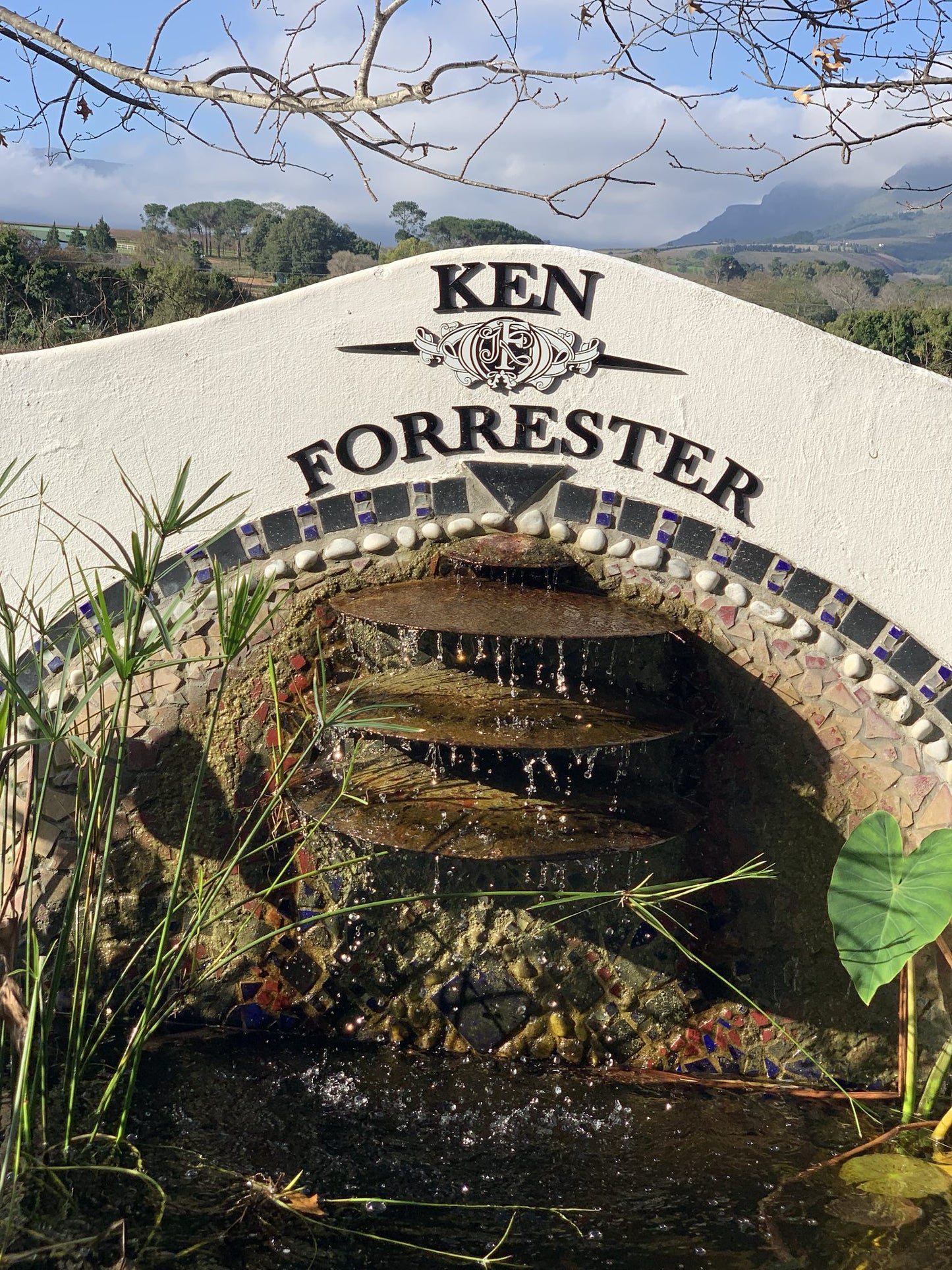  Ken Forrester Wines