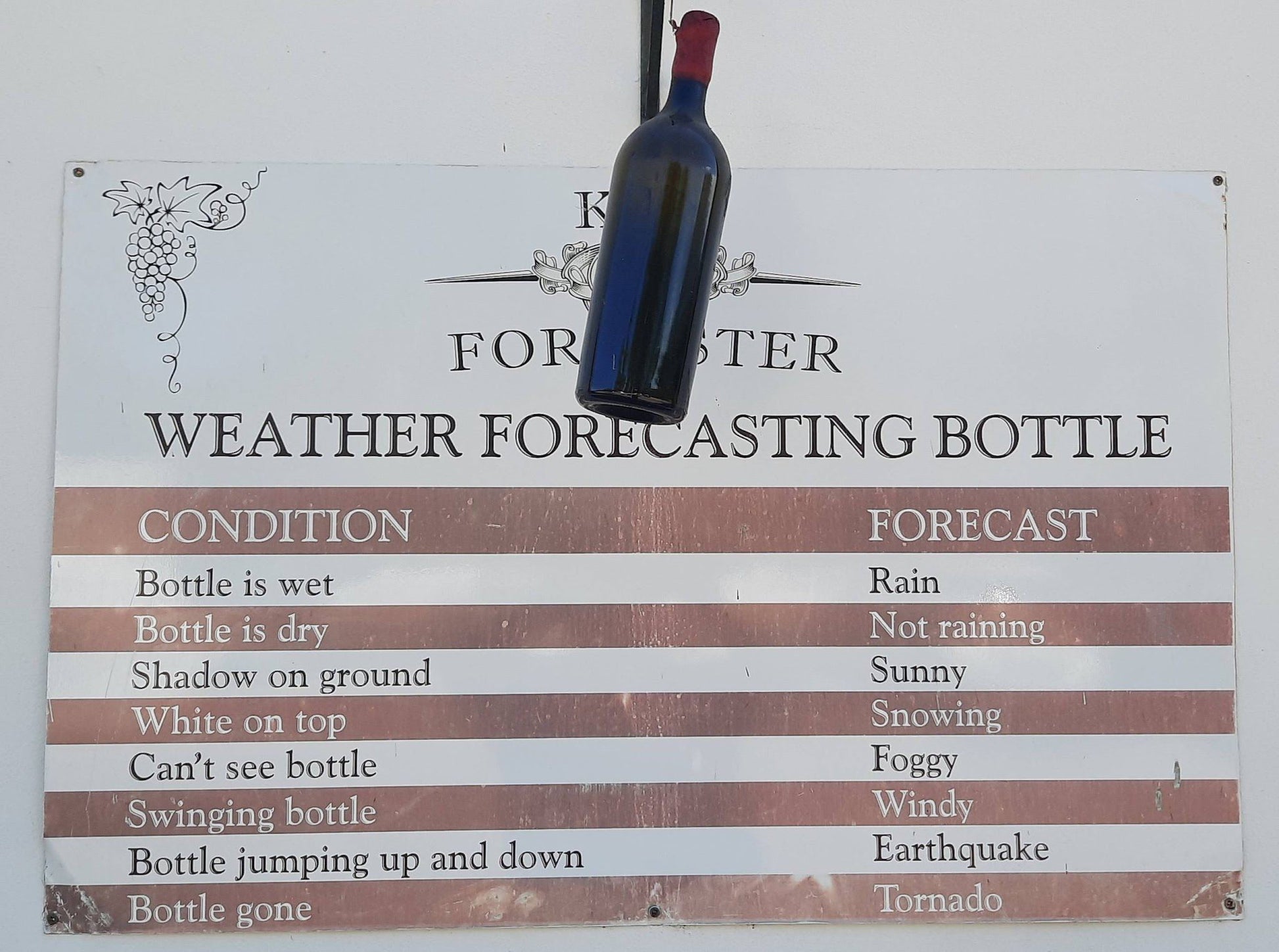  Ken Forrester Wines