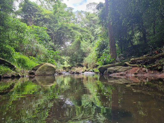  Kenneth Stainbank Nature Reserve