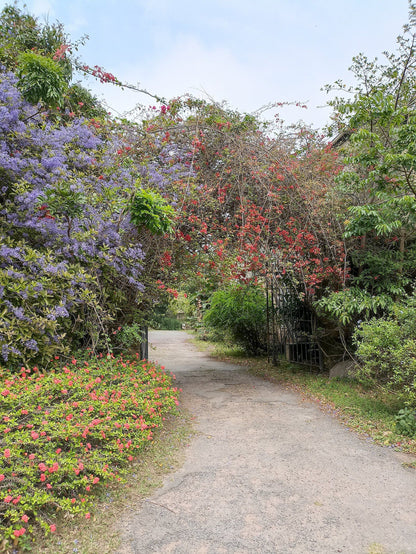  Kenneth Stainbank Nature Reserve