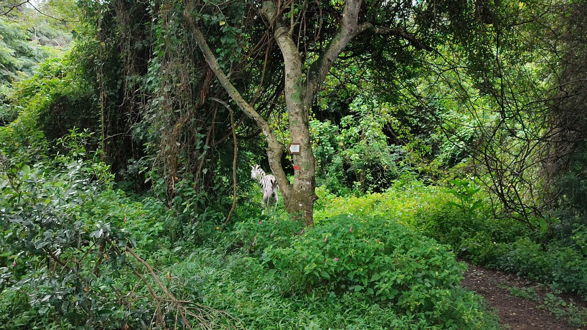  Kenneth Stainbank Nature Reserve