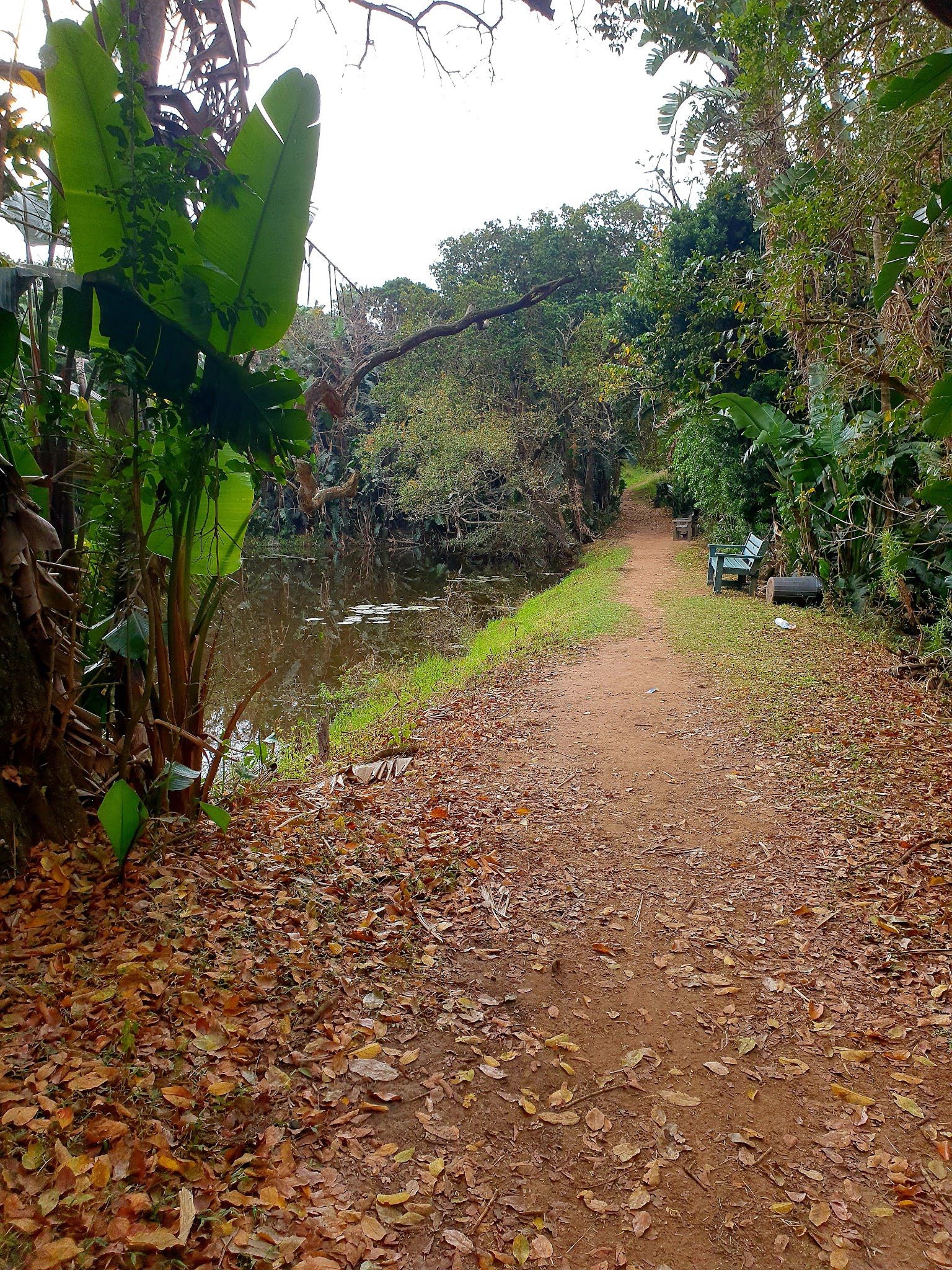  Kenneth Stainbank Nature Reserve