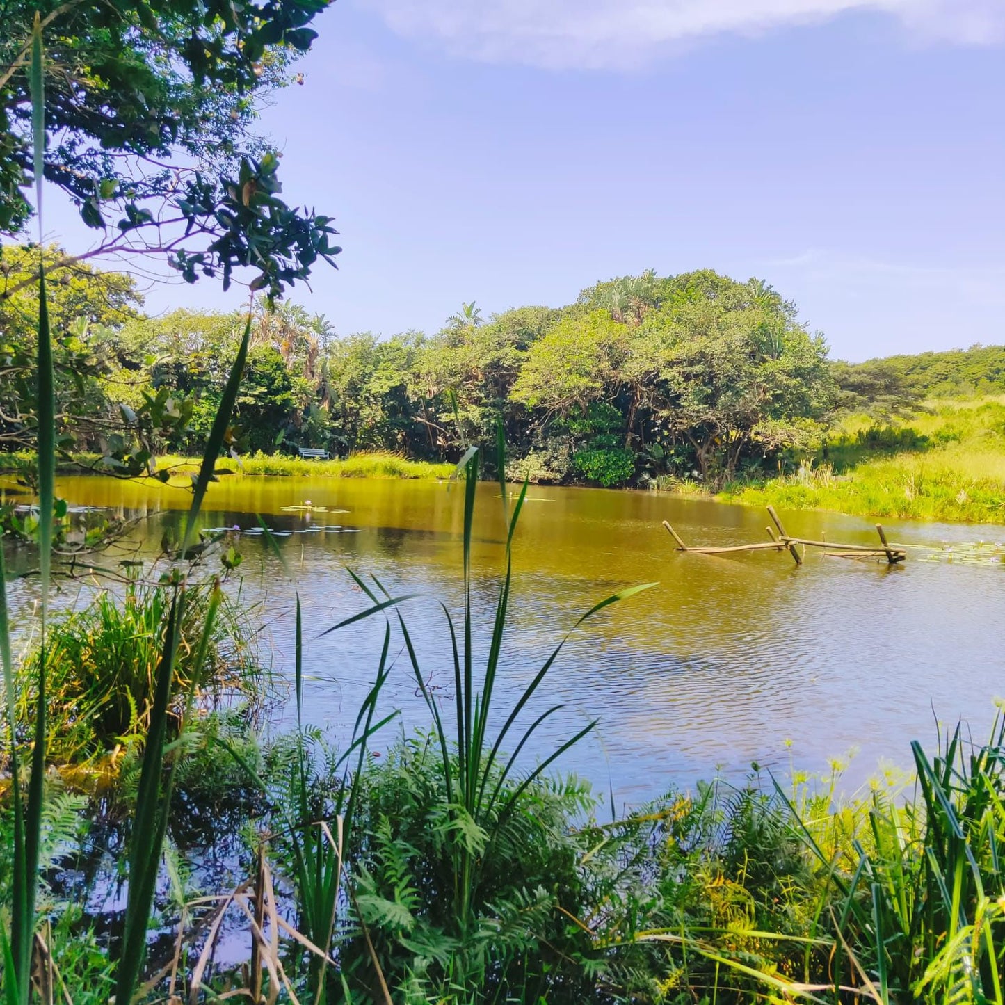  Kenneth Stainbank Nature Reserve