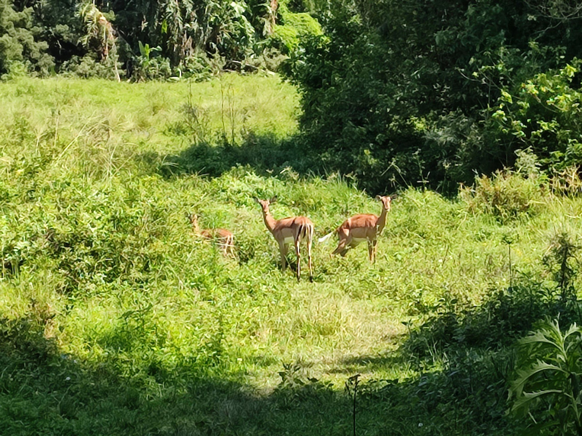  Kenneth Stainbank Nature Reserve