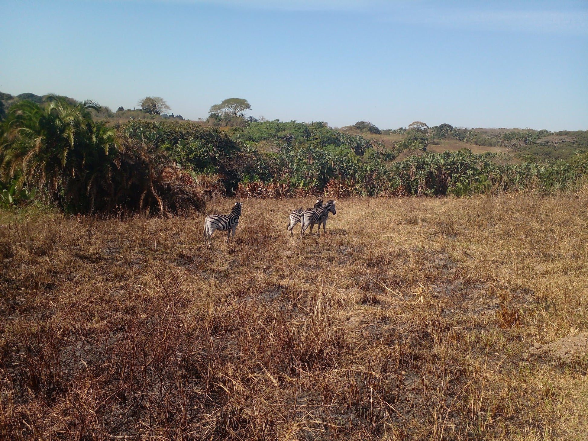  Kenneth Stainbank Nature Reserve