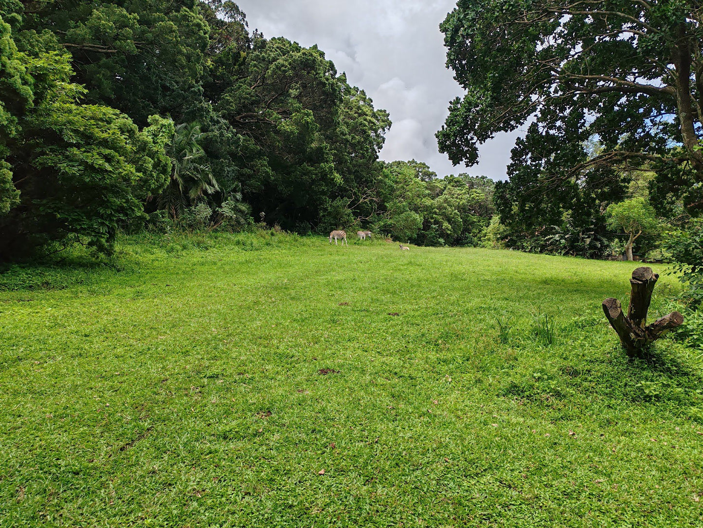  Kenneth Stainbank Nature Reserve