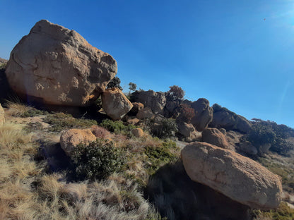  Kgaswane Nature Reserve Rustenburg