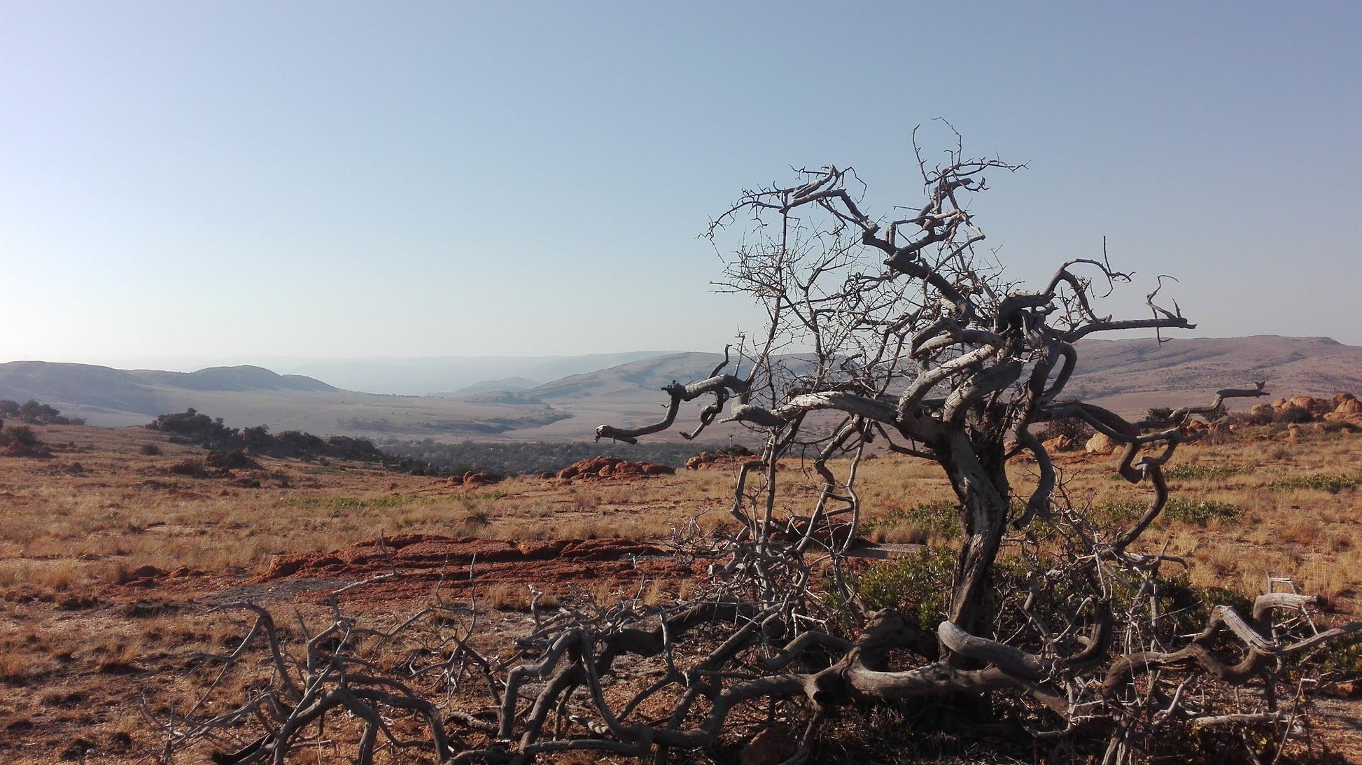  Kgaswane Nature Reserve Rustenburg