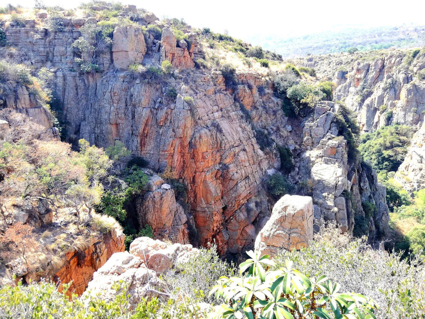  Kgaswane Nature Reserve Rustenburg