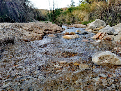  Kgaswane Nature Reserve Rustenburg