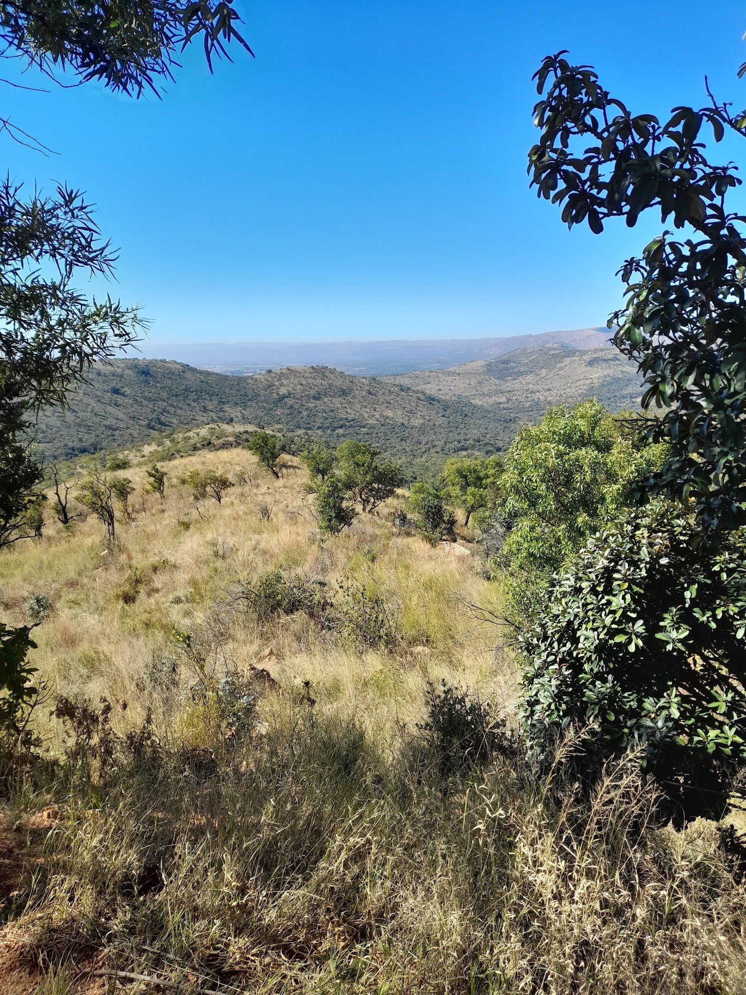  Kgaswane Nature Reserve Rustenburg