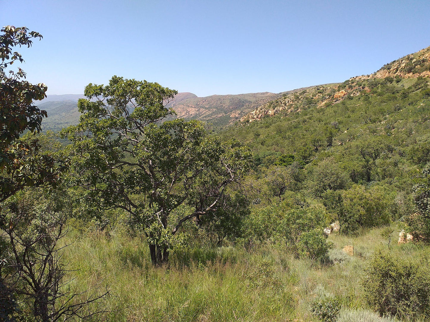  Kgaswane Nature Reserve Rustenburg