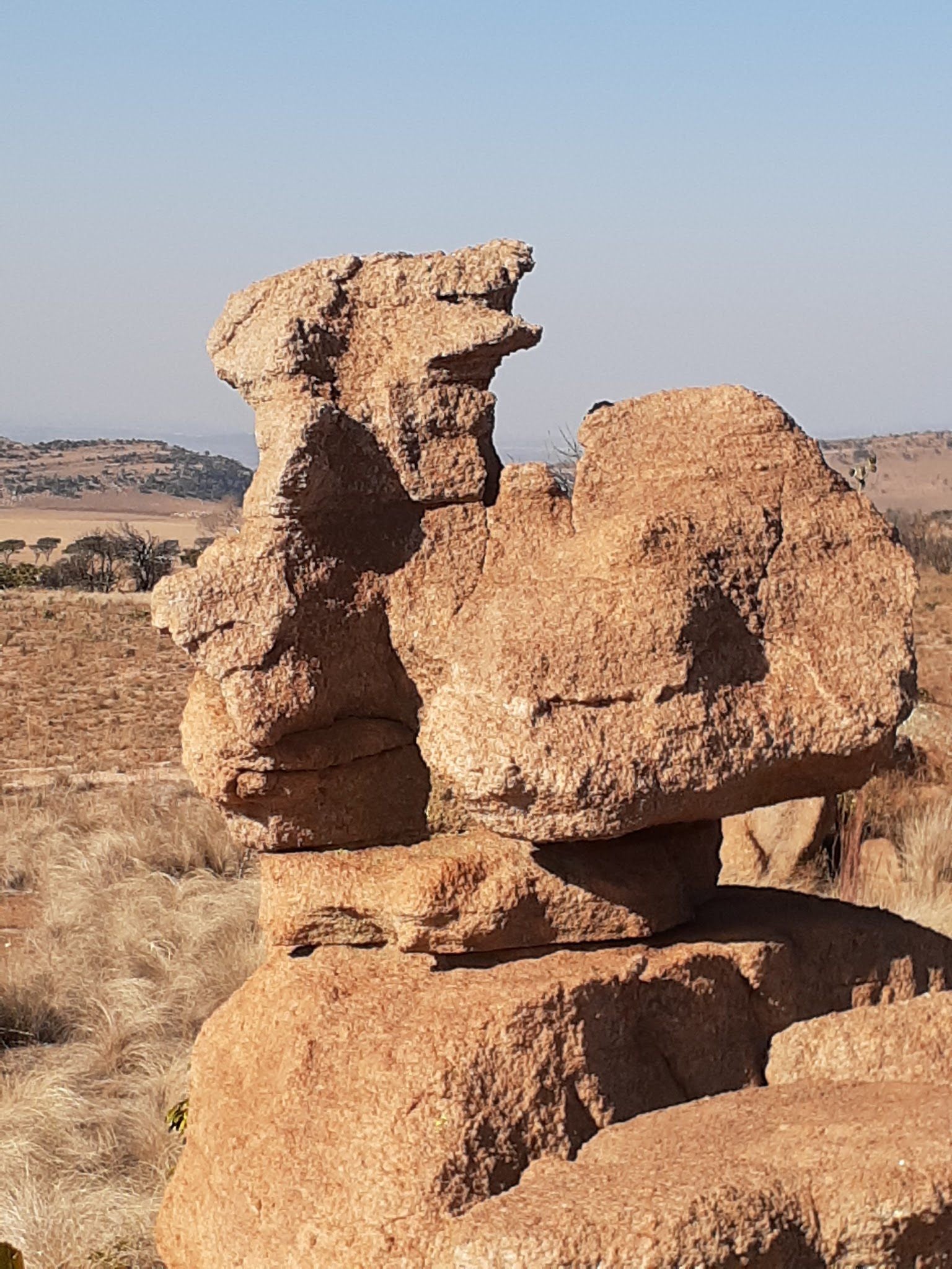  Kgaswane Nature Reserve Rustenburg