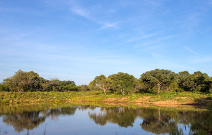  Khaya Ndlovu Game Reserve