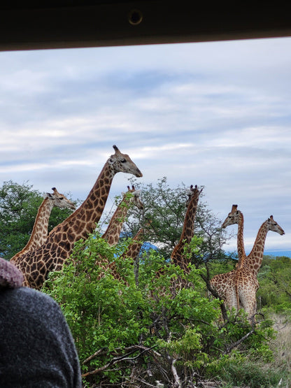  Khaya Ndlovu Game Reserve