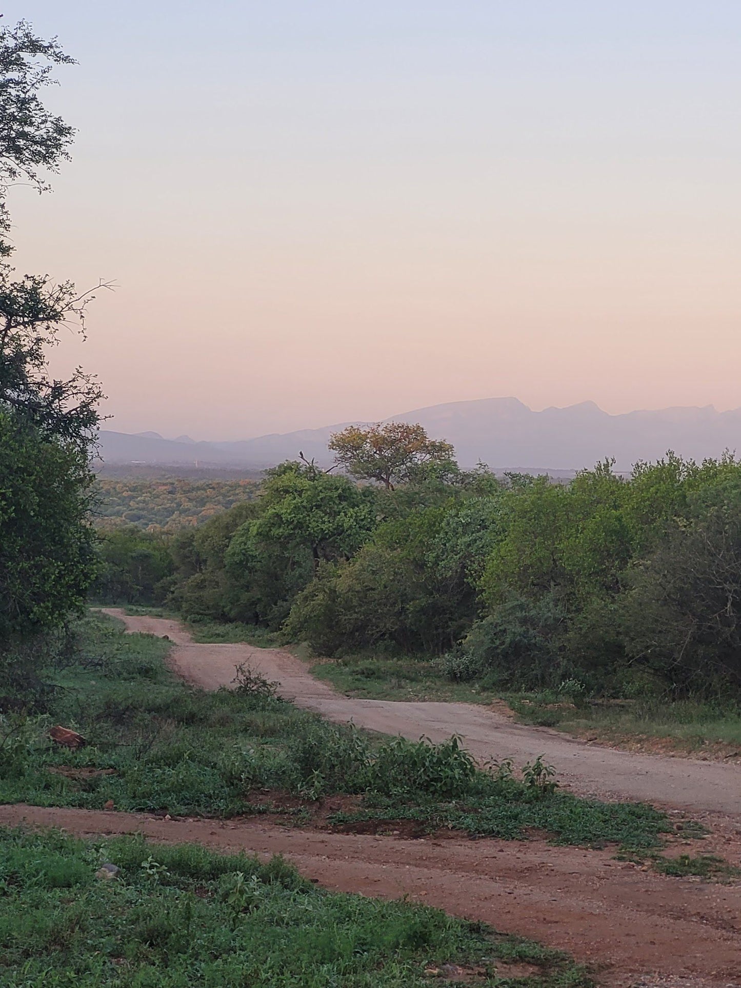  Khaya Ndlovu Game Reserve