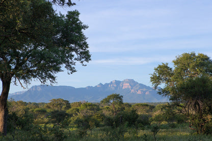  Khaya Ndlovu Game Reserve