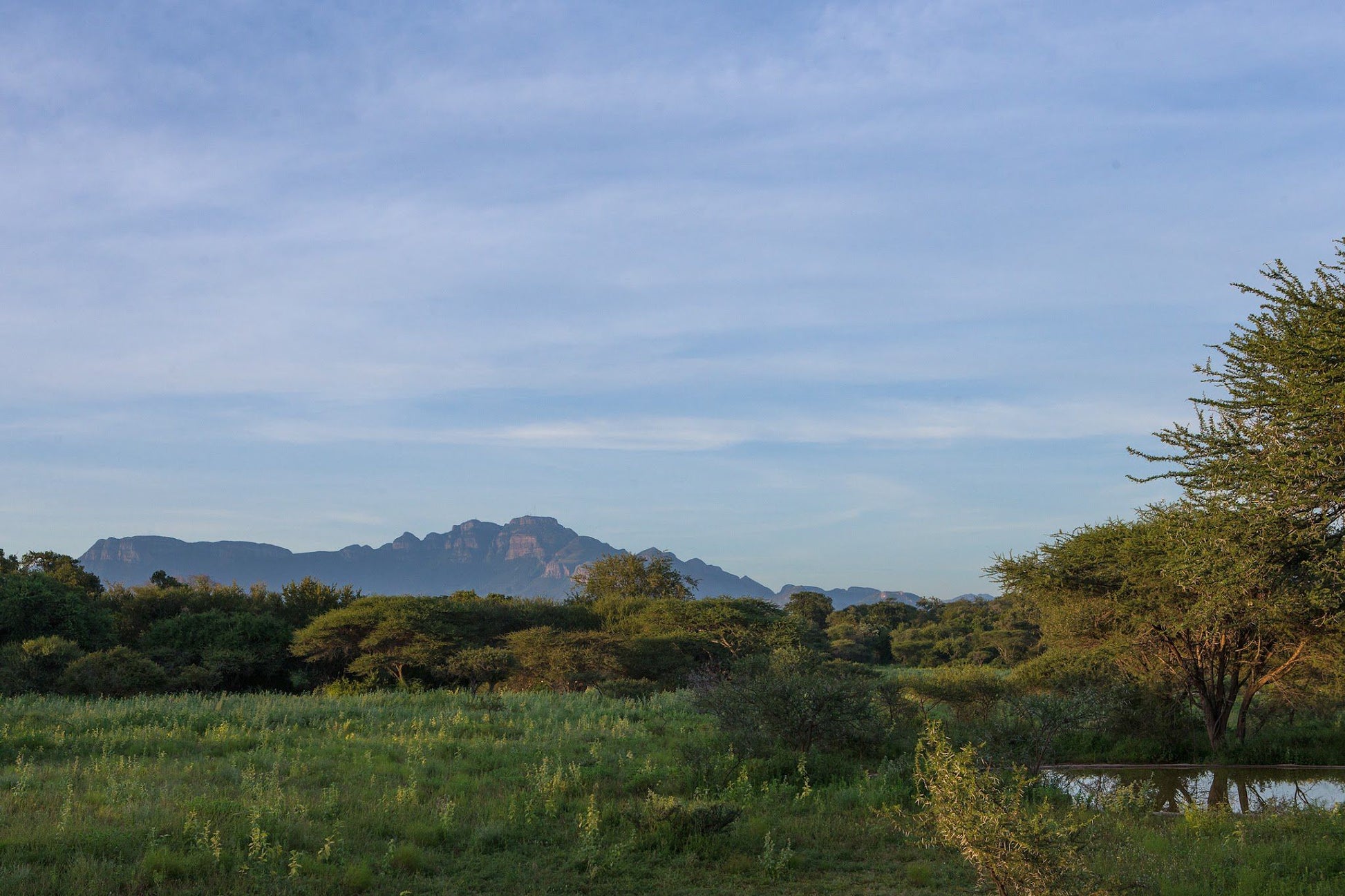  Khaya Ndlovu Game Reserve