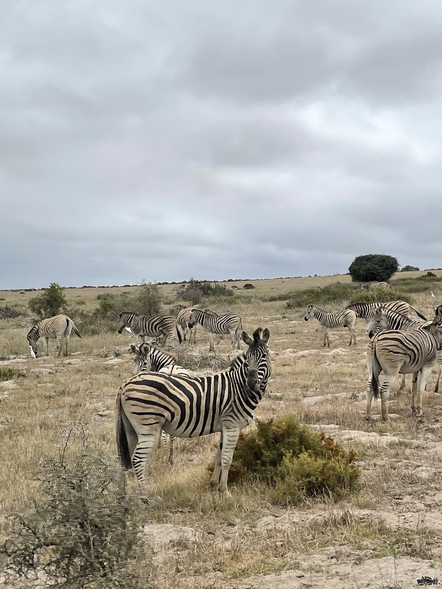  !Khwa ttu Nature Reserve