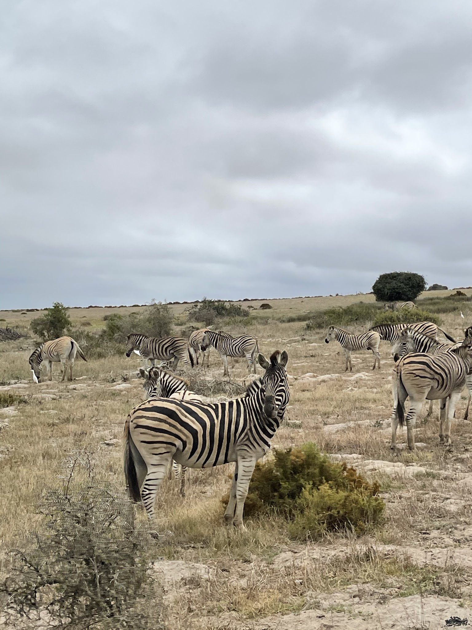  !Khwa ttu Nature Reserve