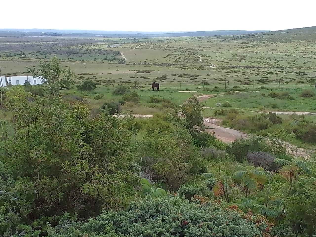  !Khwa ttu Nature Reserve