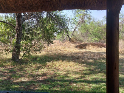  Kingfisher Bird Sanctuary