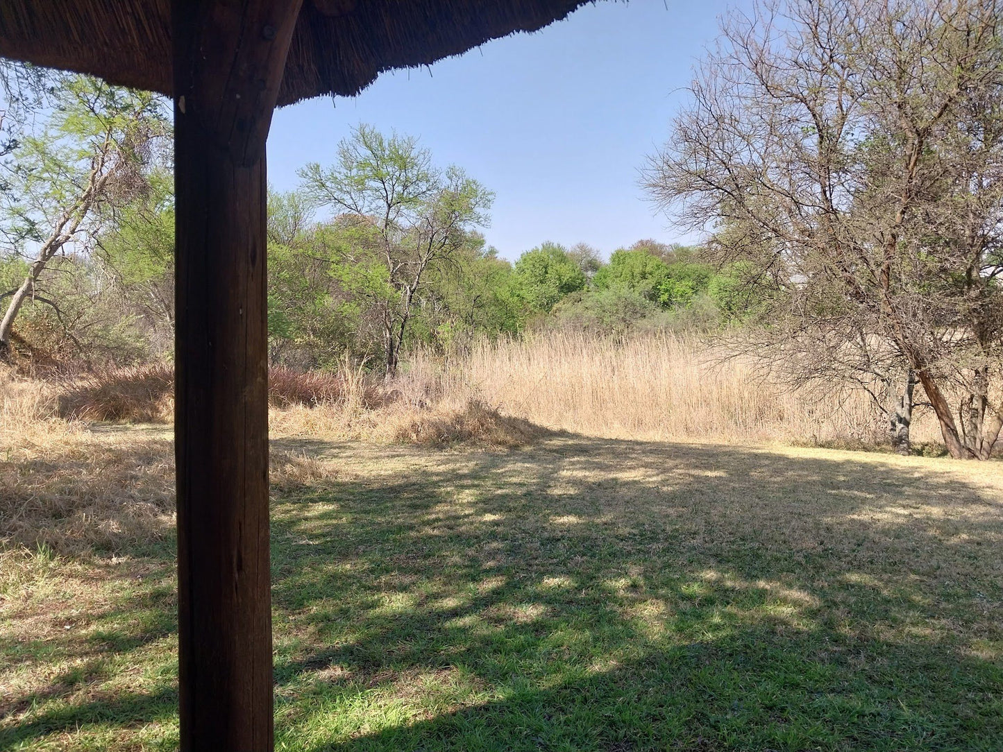  Kingfisher Bird Sanctuary