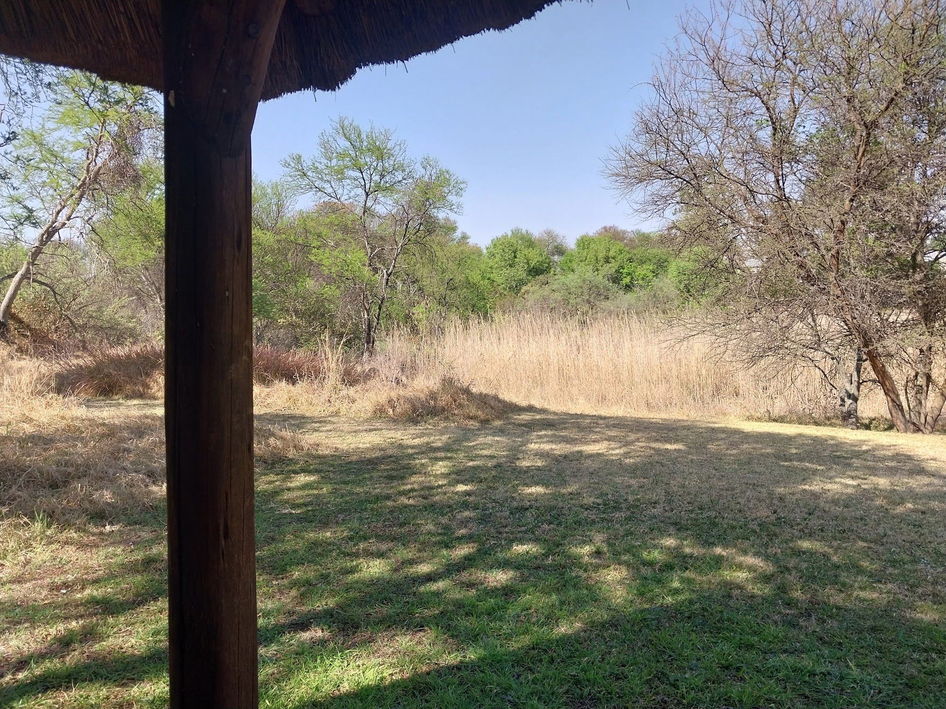  Kingfisher Bird Sanctuary