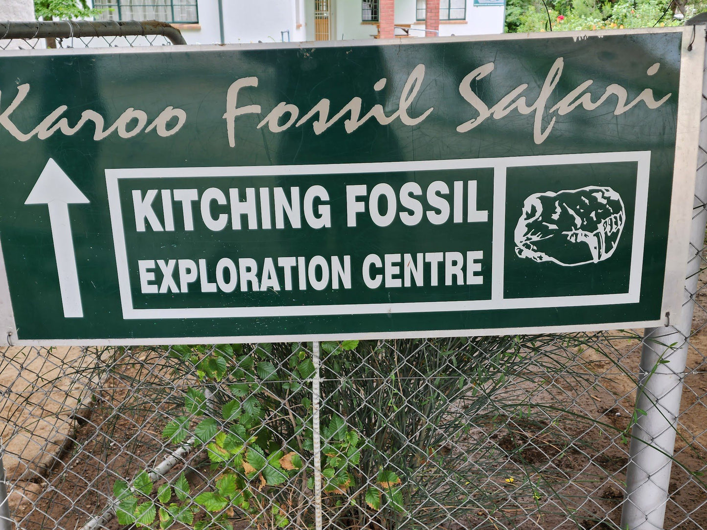  Kitching Fossil Exploration Centre
