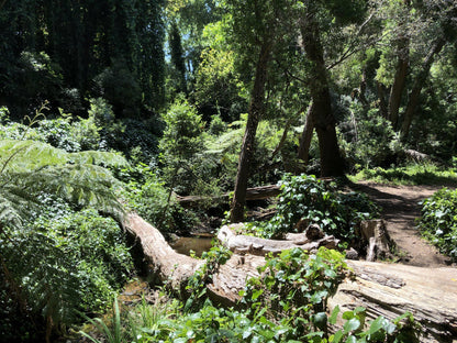  Klaasenbosch Greenbelt Trail