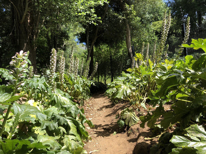  Klaasenbosch Greenbelt Trail