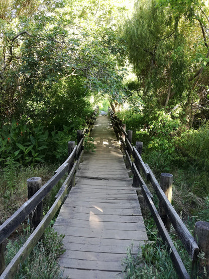  Klaasenbosch Greenbelt Trail