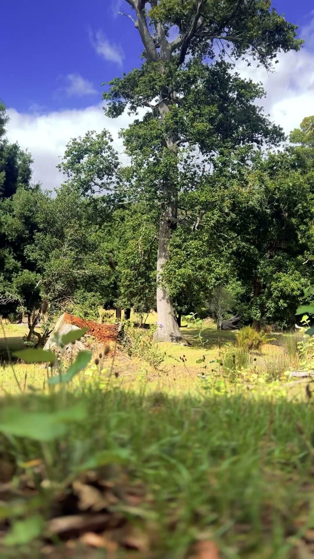  Klaasenbosch Greenbelt Trail