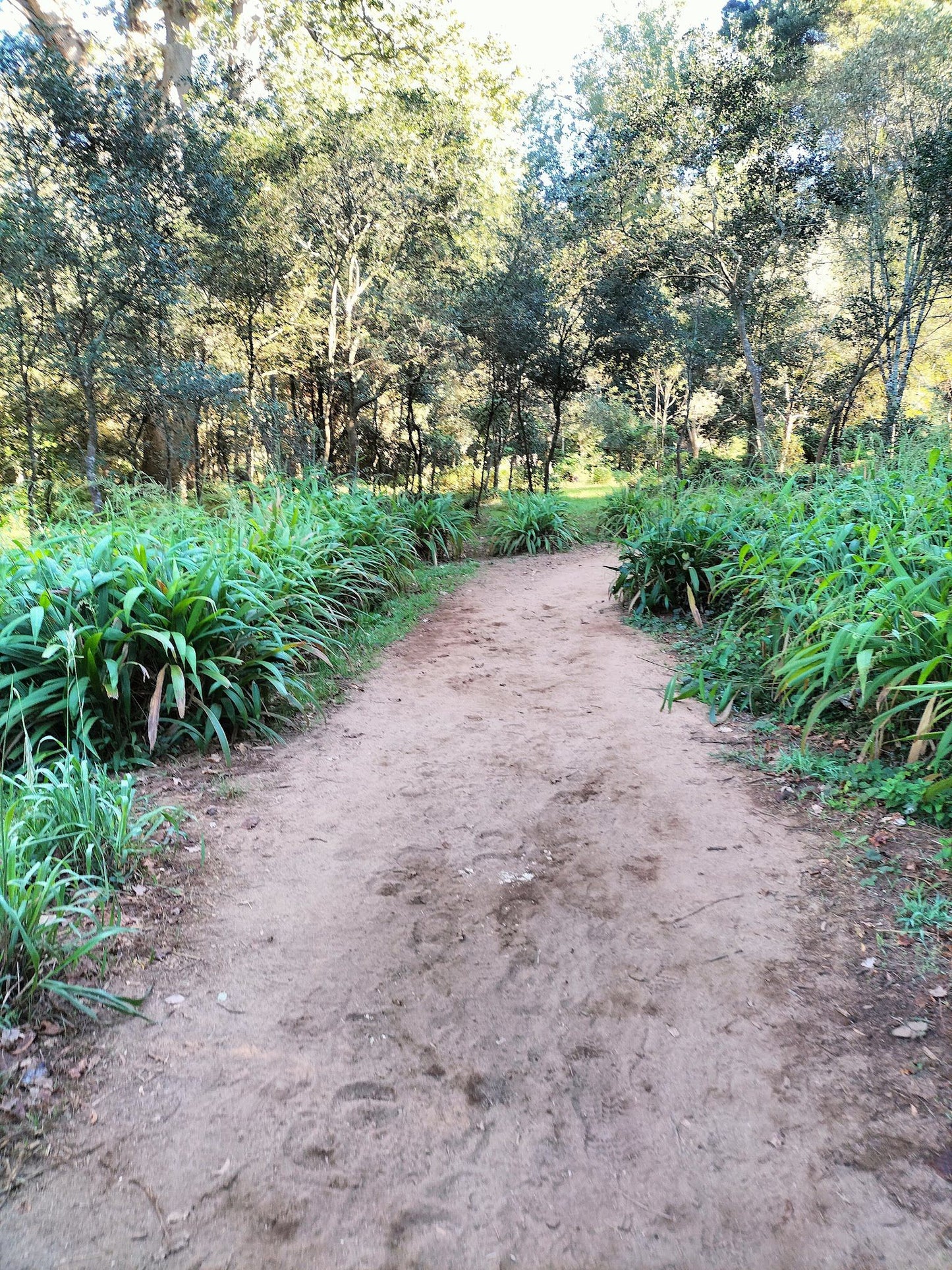  Klaasenbosch Greenbelt Trail