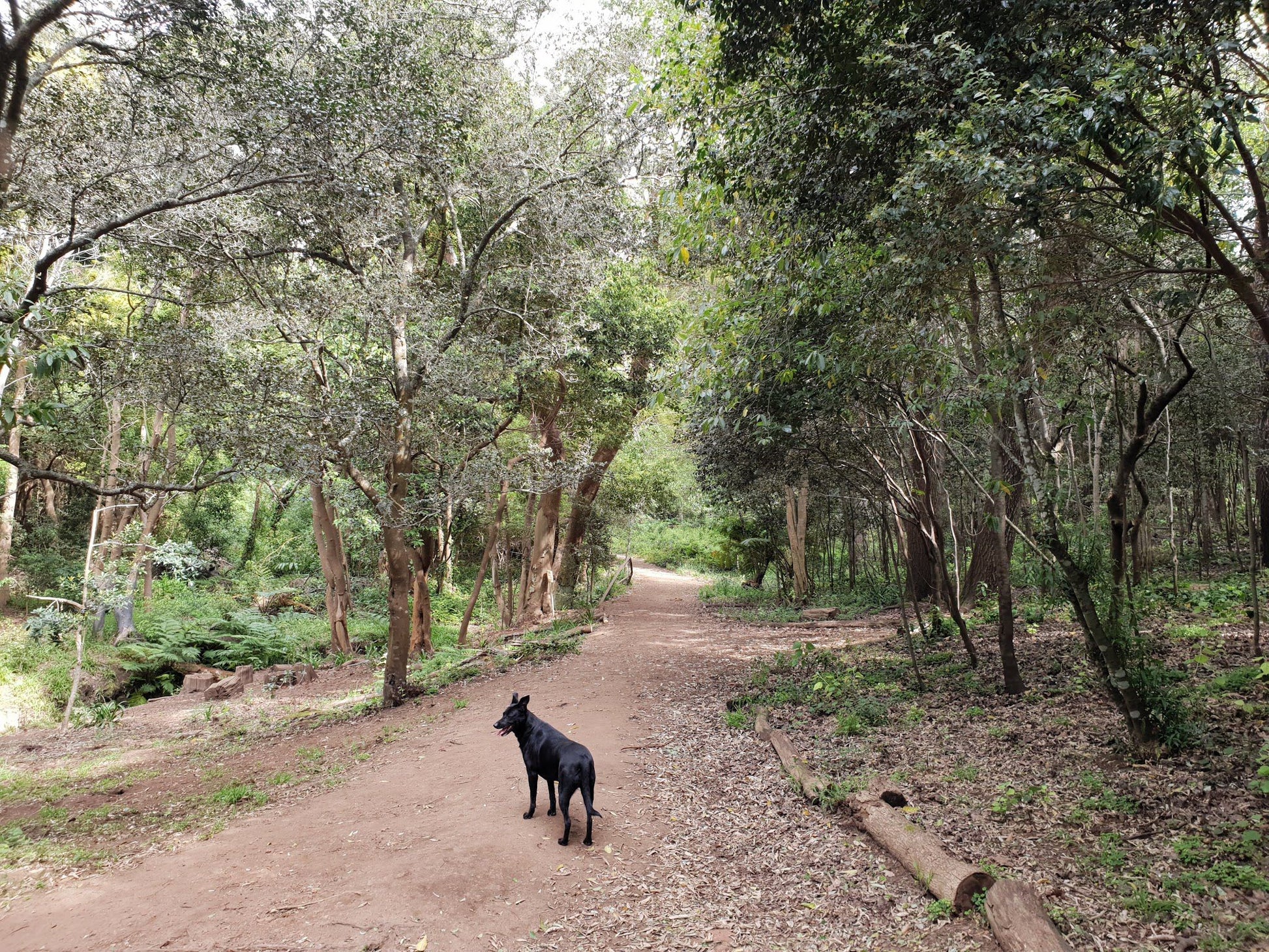  Klaasenbosch Greenbelt Trail