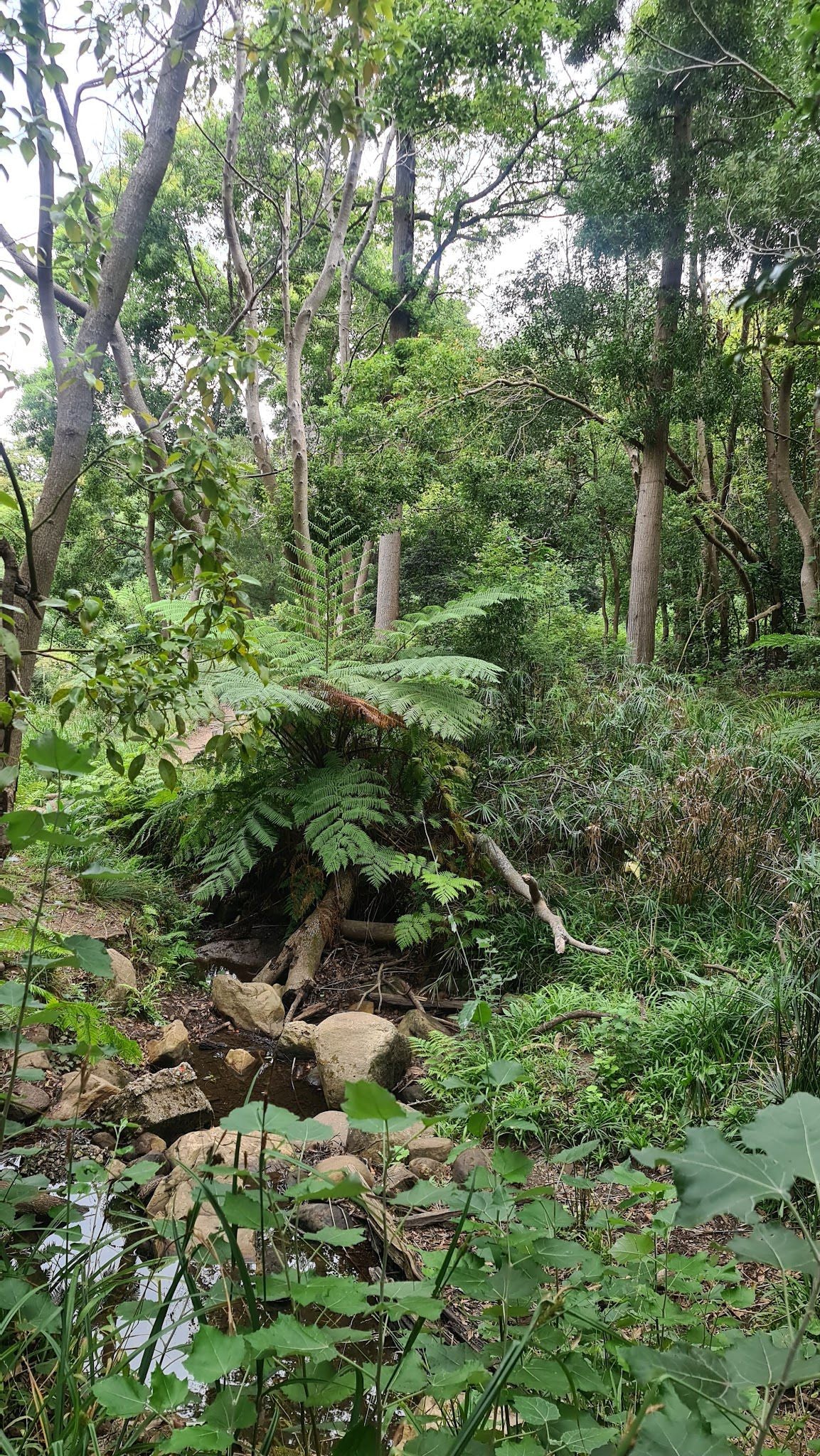  Klaasenbosch Greenbelt Trail