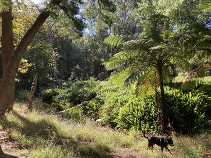  Klaasenbosch Greenbelt Trail