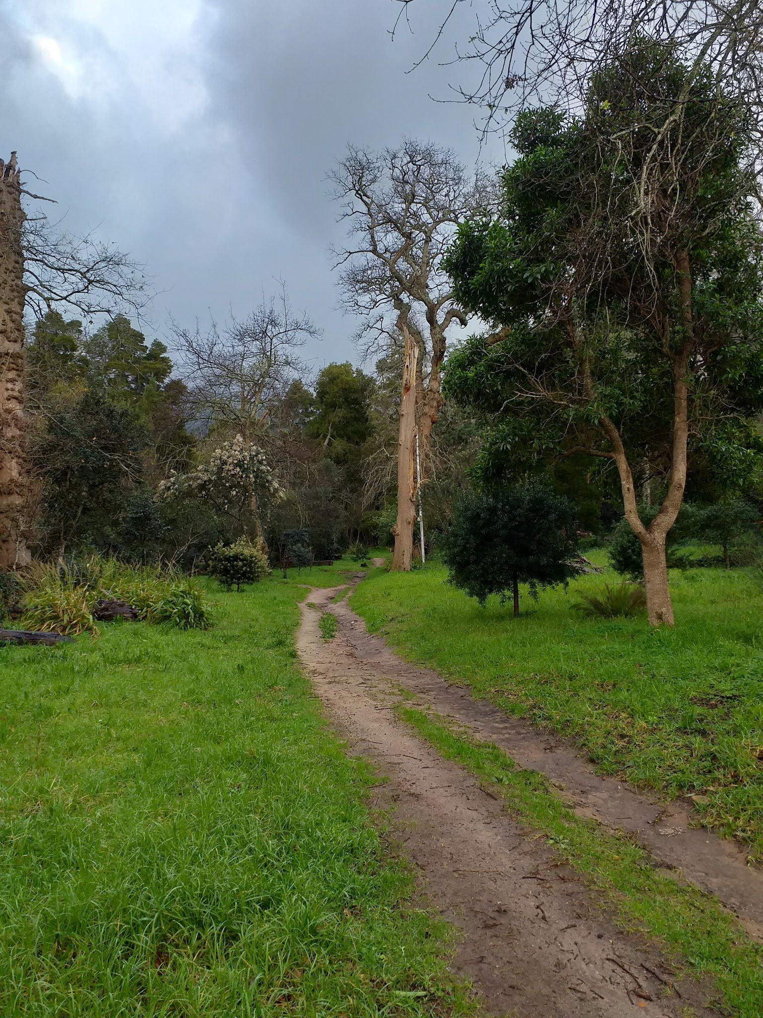  Klaasenbosch Greenbelt Trail