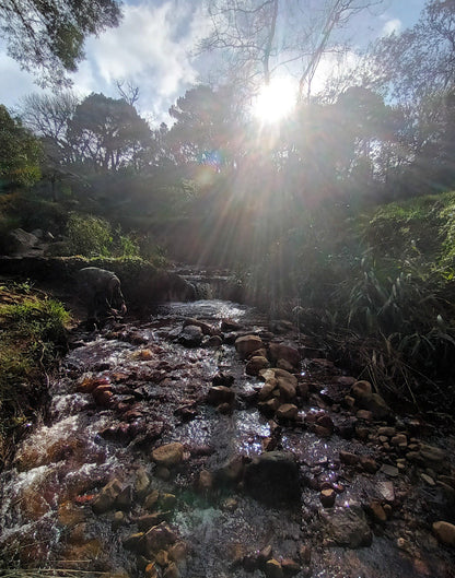  Klaasenbosch Greenbelt Trail