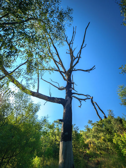  Klapperkop Nature Reserve